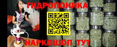 дурь Можга