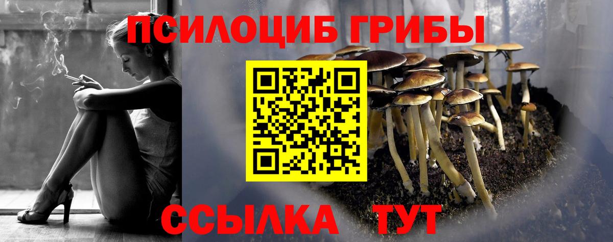 Городец  Псилоцибиновые грибы MAGIC MUSHROOMS  Вход с VPN 